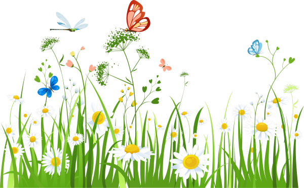 Луг на белом фоне