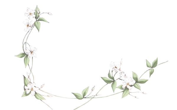 Минималистичные цветочные рамки