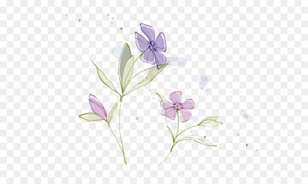 Цветы Минимализм без фона