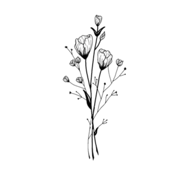 Цветы Минимализм эскизы
