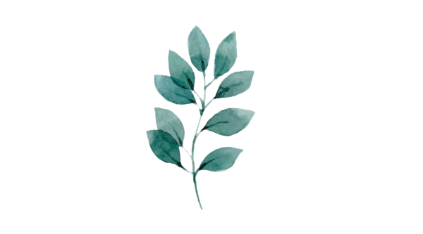 Акварельные листья на прозрачном фоне