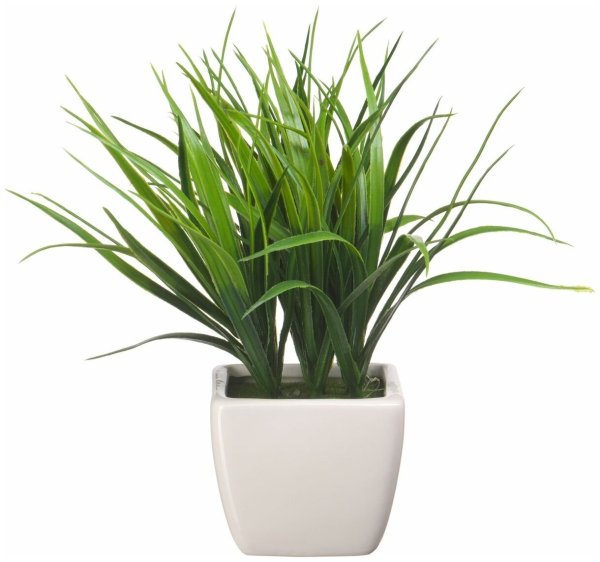 Цветы в горшках