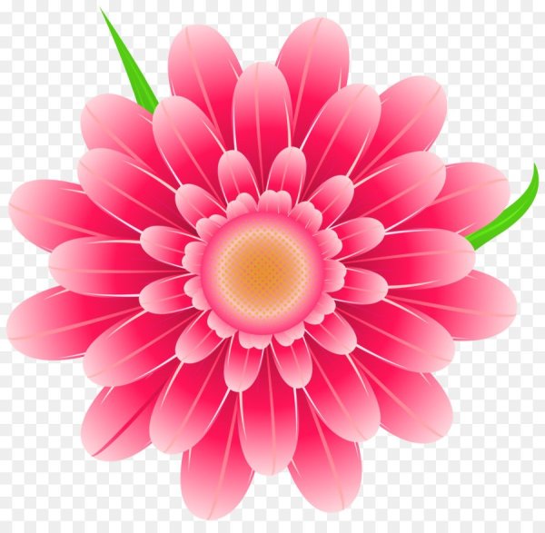 Цветы без фона