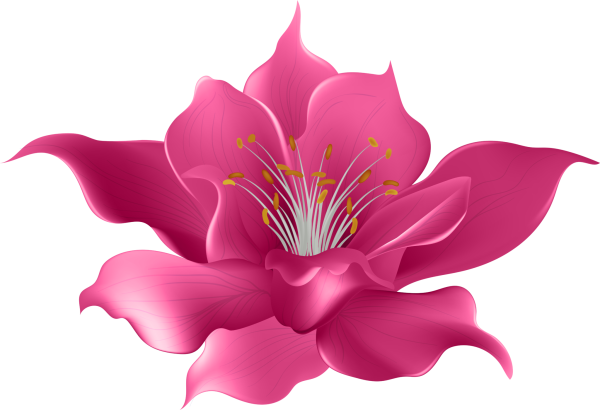 Цветочки на прозрачном фоне