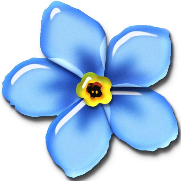 Цветочки на белом фоне