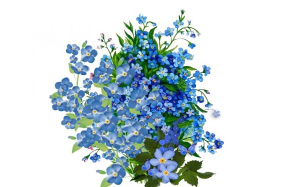 Незабудка для детей