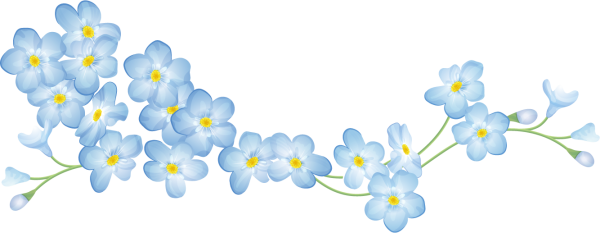 Маленькие цветочки на прозрачном фоне