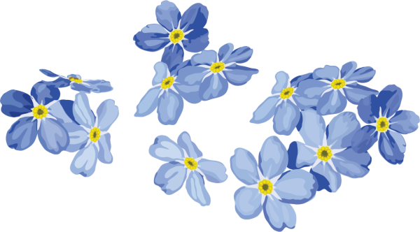 Голубые цветы на прозрачном фоне