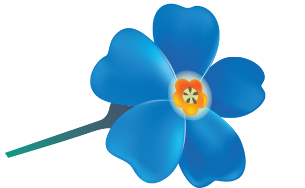 Цветы для детей на прозрачном фоне