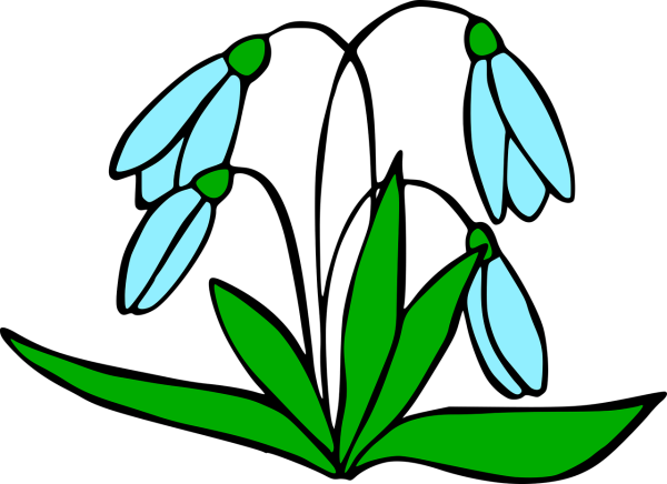 Подснежники мультяшные