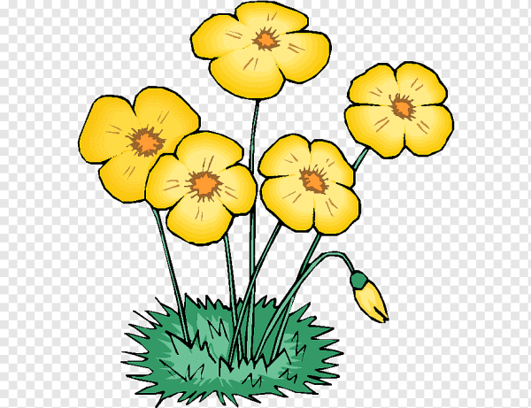 Цветы растут на прозрачном фоне