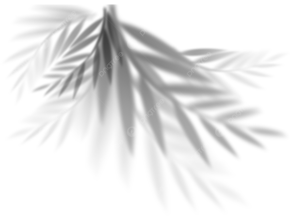 Тень от листьев на прозрачном фоне