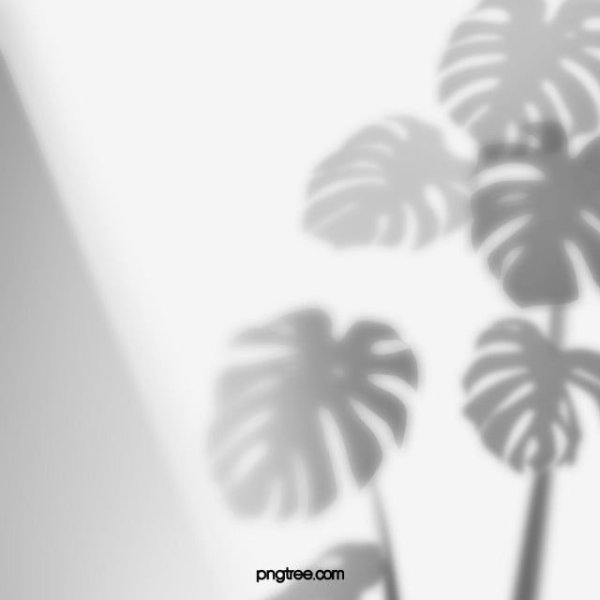 Тень от тропических листьев