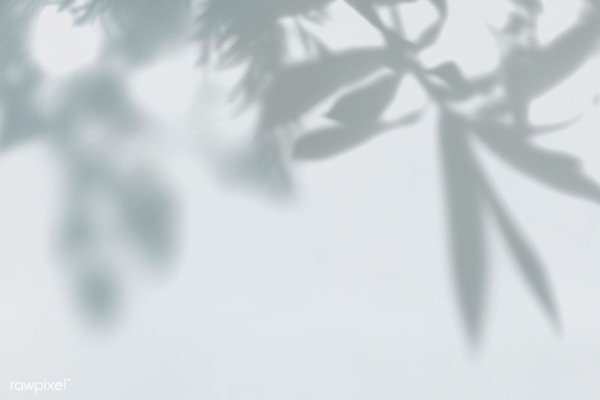 Тень от листвы