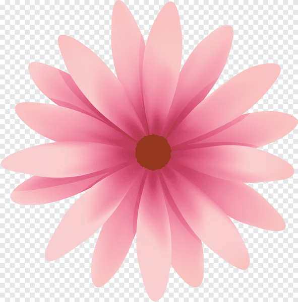 Цветы сверху