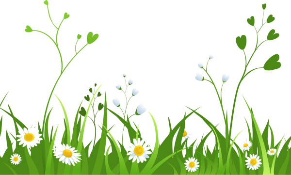 Травка с цветочками