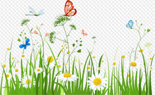 Лужайка с бабочками