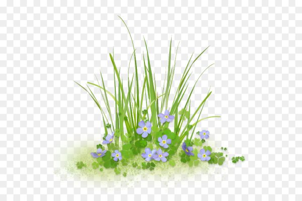 Мультяшные травы и цветов