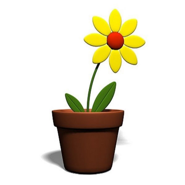 Цветочек в горшке на прозрачном фоне