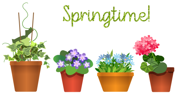 Векторные цветы в горшке