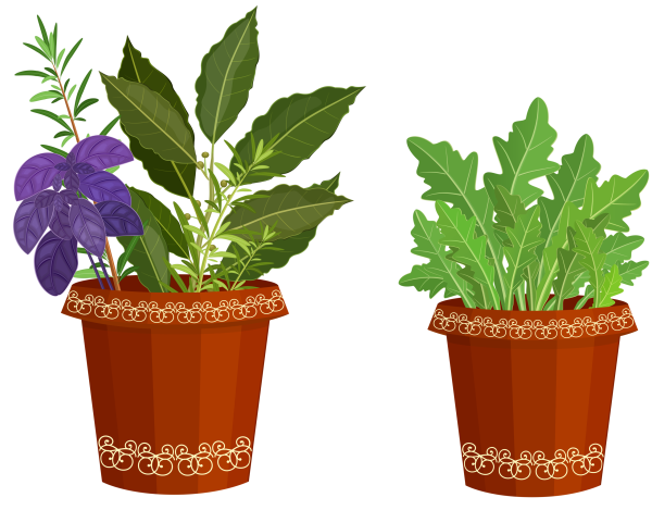 Цветы в горшочках