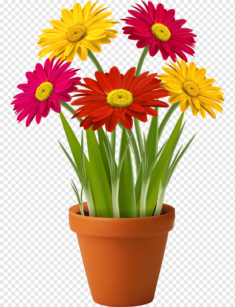 Цветок в детском горшке