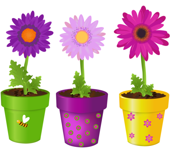 Цветочек в горшке