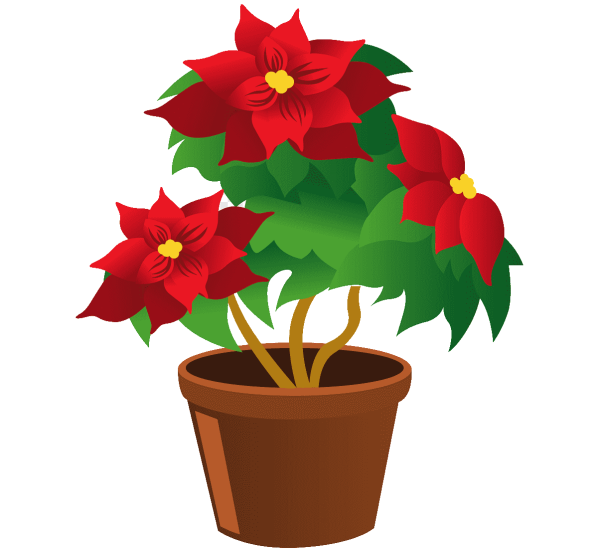 Комнатные растения вектор