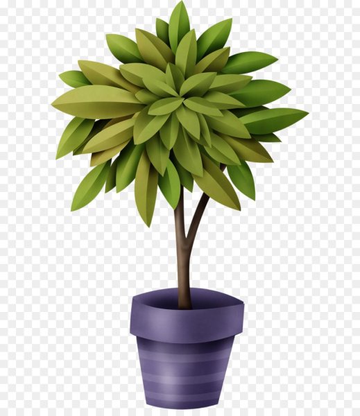 Цветы в горшках