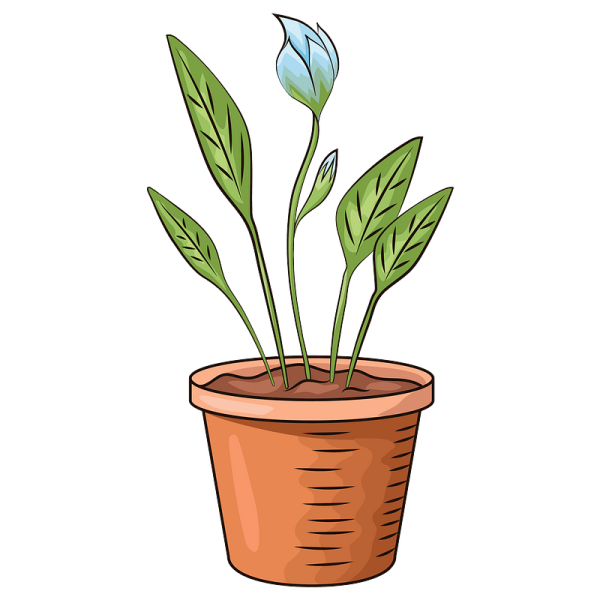 Цветок в горшке клипарт