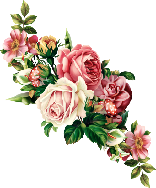 Цветы на прозрачном фоне