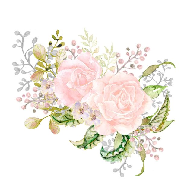 Нежные векторные цветы