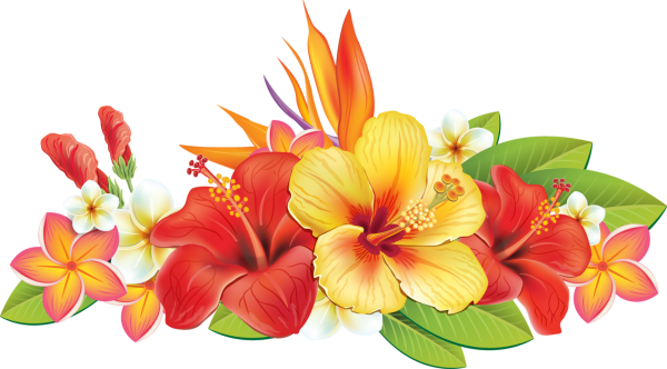 Цветы вектор