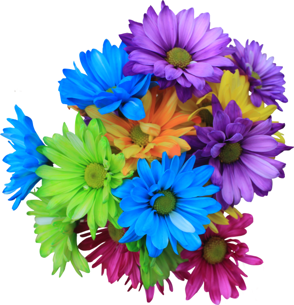 Букет Гербера Хризантема Маргаритка