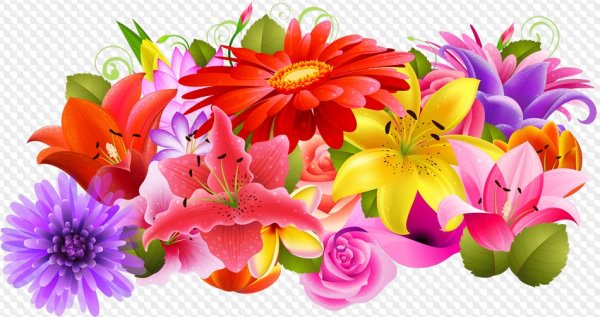 Цветы на прозрачном фоне
