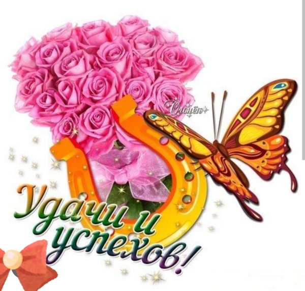 Желаю вам удачи и успехов