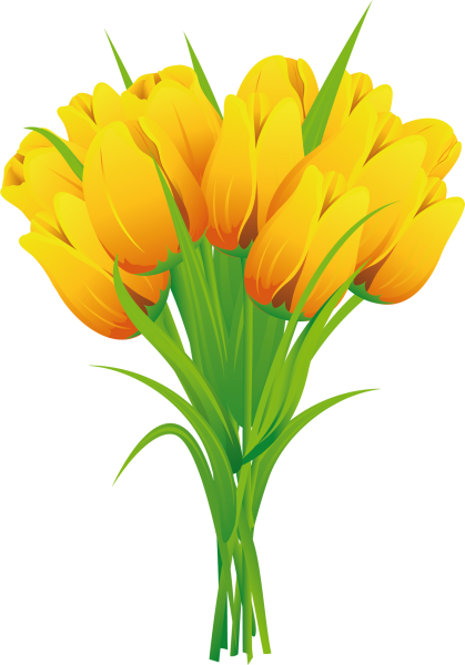 Тюльпан для детей