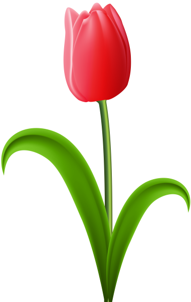 Тюльпаны мультяшные