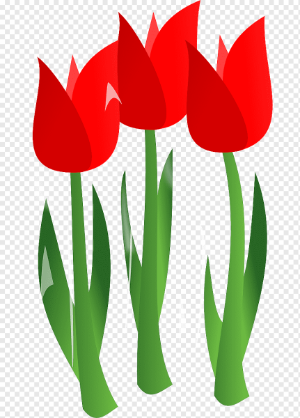Тюльпаны мультяшные