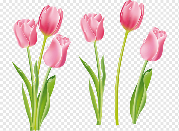 Тюльпаны мультяшные