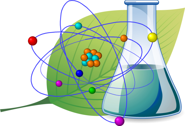 Турнир естественных наук