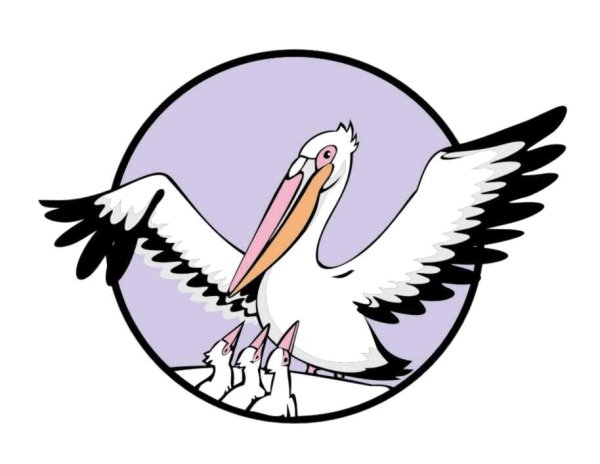 Пеликан символ года педагога