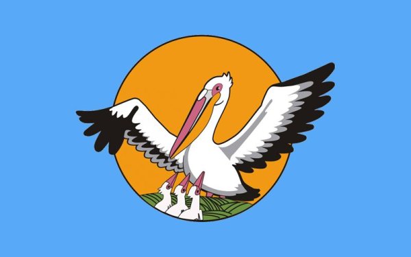 Пеликан символ конкурса учитель года