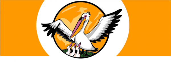 Пеликан конкурс учитель года