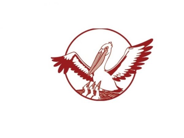 Символ учитель года Пеликан