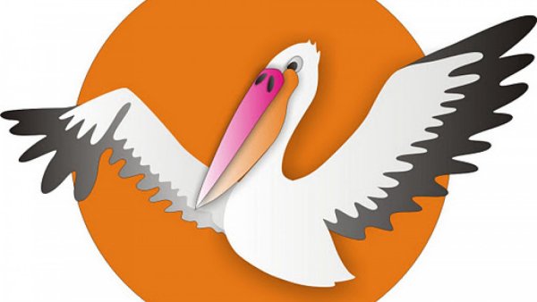 Пеликан символ года педагога