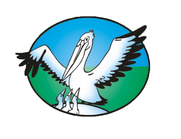 Пеликан символ конкурса учитель года