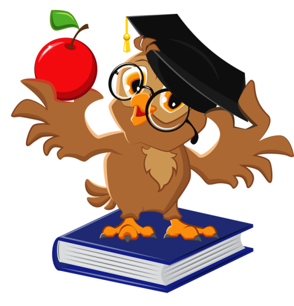 Мудрая Сова