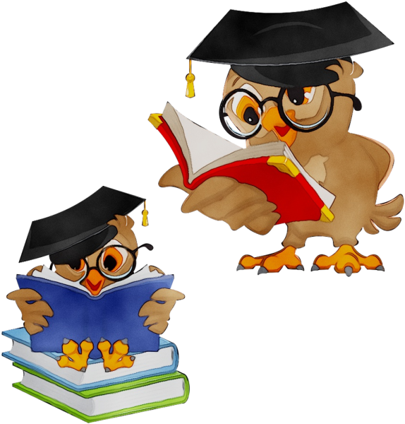 Сова учитель