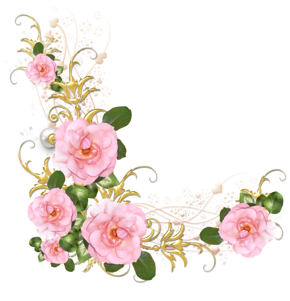 Цветы без фона